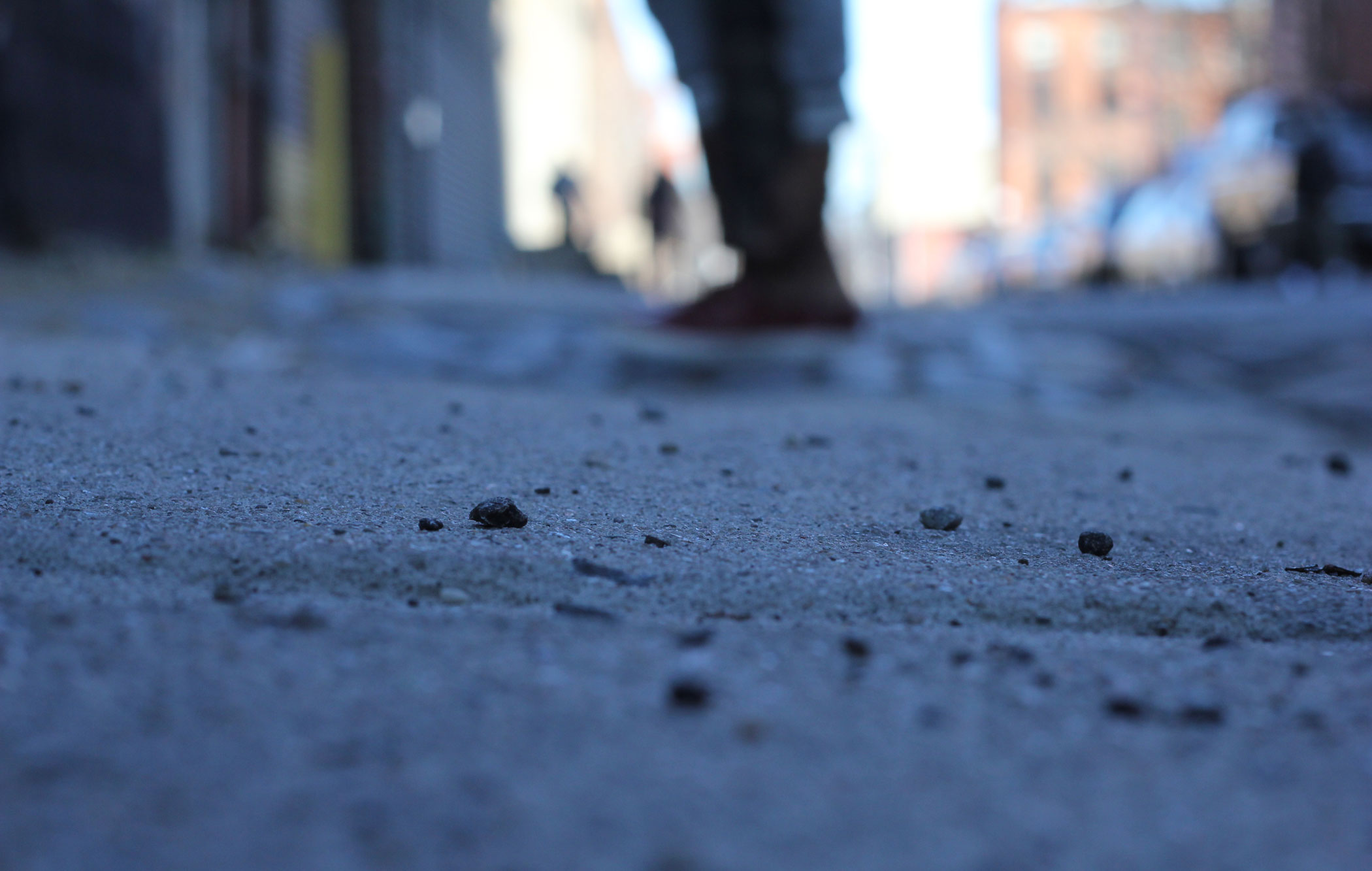 Dclife_philliptannand_005
