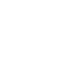 Marcus_troy