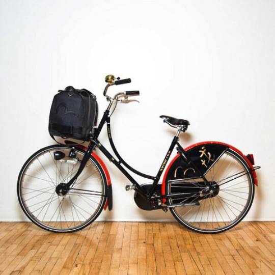 evisu-bike-1_large.jpg
