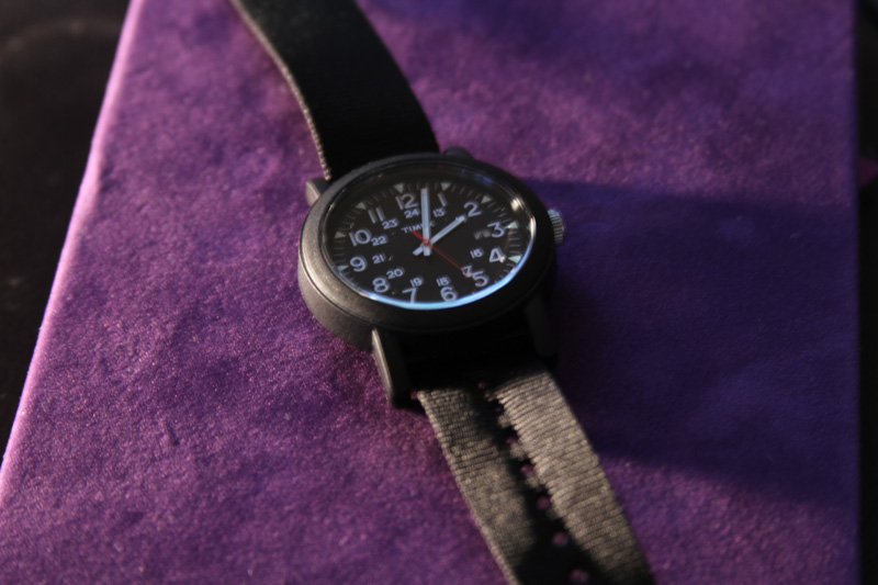 Timex Originals Fall 2010 1