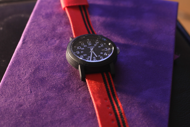 Timex Originals Fall 2010 2