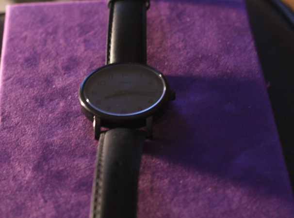 Timex Originals Fall 2010